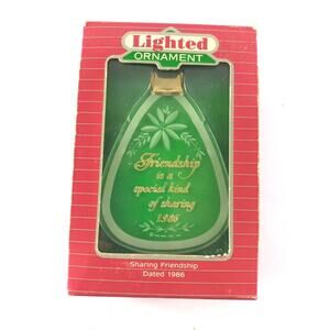 Hallmark Keepsake Lighted Ornament Friendship Is A Special Kind Of Sharing 1986